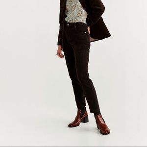 Mango cotton corduroy pants in dark brown